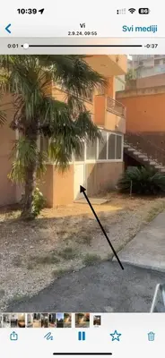 a picture of a palm tree in front of a building at Jednosoban apartman Anara Prijevor in Budva