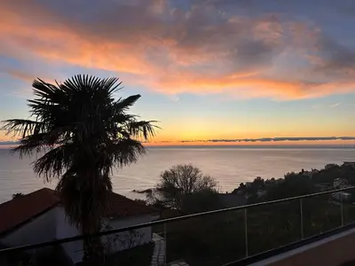 a palm tree on a balcony with a sunset at A&N Apartments in Ulcinj