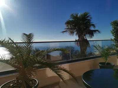 a balcony with a palm tree and a table at A&N Apartments in Ulcinj