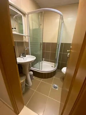 a bathroom with a shower and a sink and a toilet at Lina Apartment in Podgorica