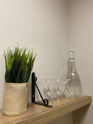 a shelf with glasses and a bottle and a plant at Lina Apartment in Podgorica