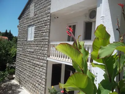 a white house with a balcony and a plant at Guest House 4M in Petrovac na Moru