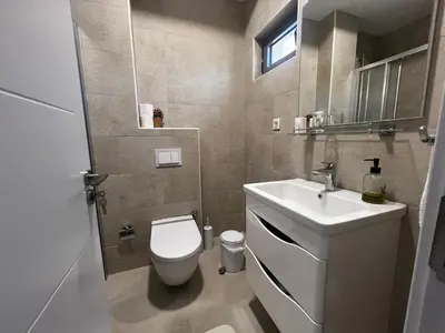 a small bathroom with a toilet and a sink at Apartments Zevs Kavac in Kavač