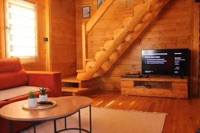 a living room with a couch and a tv at Cottage retreat- Skadar Lake in Virpazar