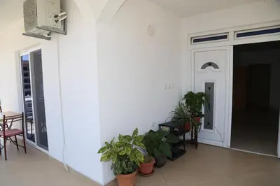a room with potted plants and a white wall at Apartments Armini in Ulcinj