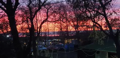 a sunset through the trees with boats in the water at comjun in Ada