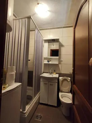 a small bathroom with a toilet and a sink at Rooms Milena in Rijeka Crnojevića