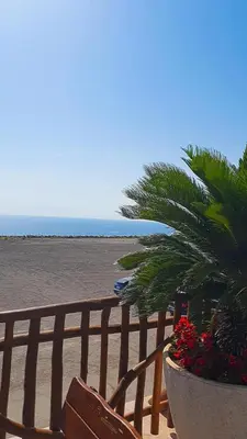 a balcony with a view of the beach and a palm tree at Meli Apartman in Krimovice