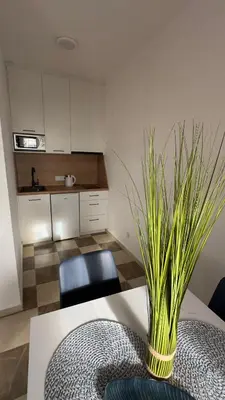 a kitchen with a table with a potted plant on it at GreenHouse in Bar