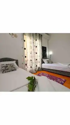 a room with two beds and a plant in it at Izvor in Budva