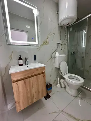 a bathroom with a toilet and a sink and a mirror at Dilan apartments by the sea in Bar