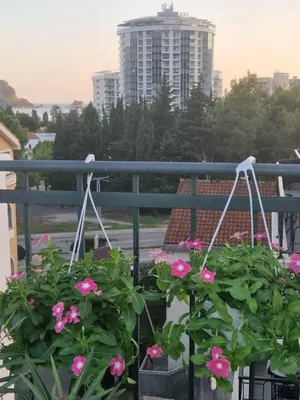 a balcony with pink flowers and a building at Apartments Tamara in Budva