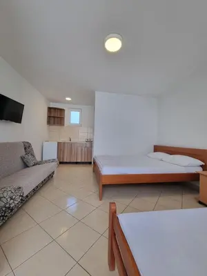 a living room with a bed and a couch at Apartman-Studio Matanović- Save Kovačevića in Sutomore