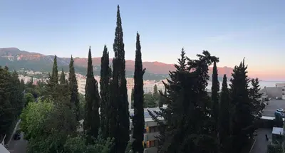 a group of cypress trees in front of a city at Sea View Apartments MonteBook in Becici