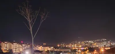 a city at night with a tree in the foreground at Holiday House Kotor in Kotor
