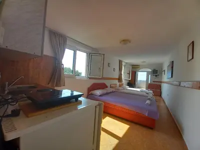 a bedroom with a bed and a sink in it at Apartmani Todorović in Bar