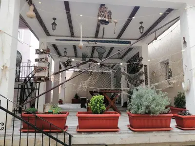 a group of potted plants sitting in a room at Apartments Bella di Boka in Tivat