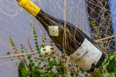 a bottle of wine is stuck in a net at Apartments Bella di Boka in Tivat