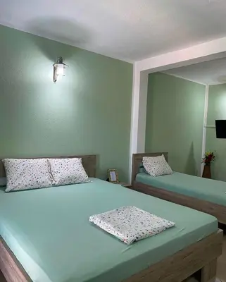 two beds in a room with green walls at Fenix Apartmani Dubrava in Dobra Voda