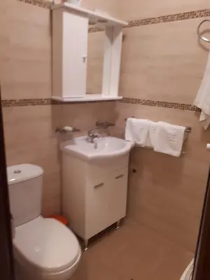 a bathroom with a toilet and a sink at Apartment Biba in Virpazar