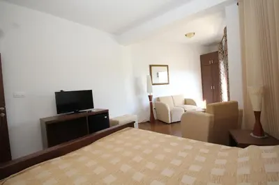 a bedroom with a bed and a tv and a couch at Apartment Biba in Virpazar