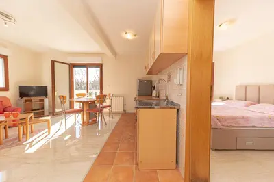 a kitchen and living room with a bed and a table at Apartment Sofija Petrovac in Petrovac na Moru