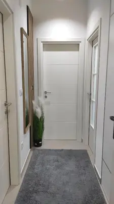 a hallway with a white door and a potted plant at AJKULICA Apartman in Bar