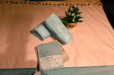 a pair of rolled up towels and a plant on a bed at Apartment Godfather in Budva