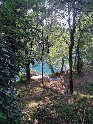 a hammock in the woods next to the water at Camper t4 in Danilovgrad