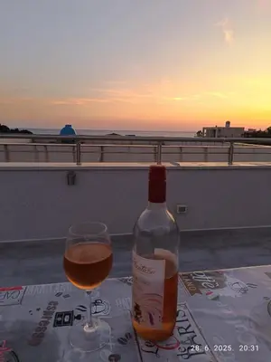 a bottle of wine and a glass on a table at More i Vuk in Bar