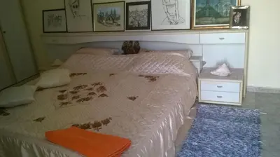 a bedroom with a bed and a blue rug at Family House Pavicevic in Bar