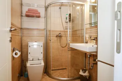 a bathroom with a shower and a toilet and a sink at Apartman Zorana in Tivat