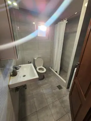 a bathroom with a white sink and a toilet at Apartments Donja Gorica in Podgorica