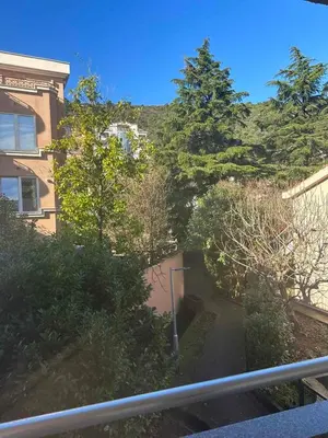 a view of a yard with trees and a building at Monte Budva in Budva