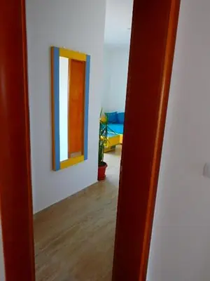 a view of a room with a mirror and a hallway at Apartmani Hamburg 1 in Donji Štoj