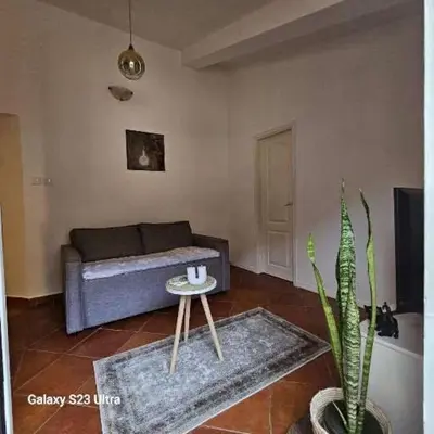 a living room with a couch and a cactus at Studio Ines in Kotor