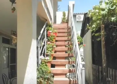 a set of stairs with plants on the side of a house at Apartments Masa in Sutomore