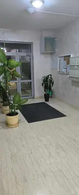 a room with two potted plants in front of a door at Enjoy Apartmani in Podgorica
