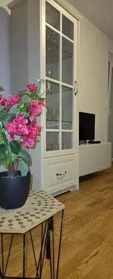 a living room with a potted plant and a table at Enjoy Apartmani in Podgorica