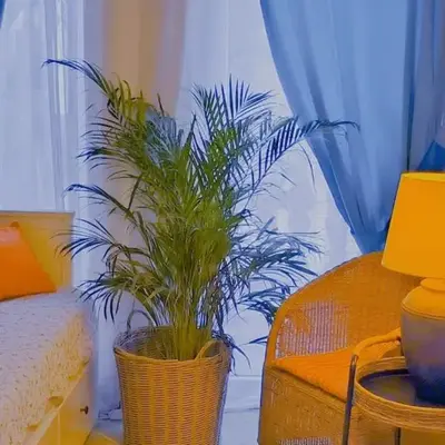 Apartament - Lisa