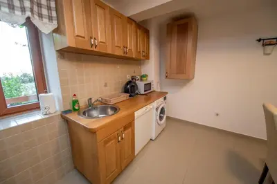 a kitchen with a sink and a washing machine at Mediteraneo Villa in Kaluđerovići