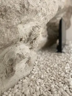 a bunch of white beans on the ground next to a rock at Casa Calda Apartments in Cetinje
