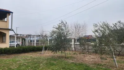 a yard with two trees and a fence at Lush Garden Villa Close to Airport with Hi-Speed Wifi in Podgorica