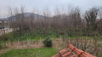 a garden with a bunch of trees in a field at Lush Garden Villa Close to Airport with Hi-Speed Wifi in Podgorica