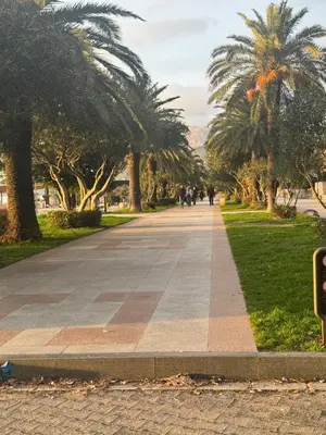 a sidewalk in a park with palm trees at Villa Bait in Bar