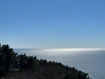 a view of the ocean with trees on the shore at SOHO Apartments in Ulcinj