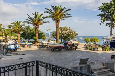a view of a beach with palm trees and a boat at Apartments Franićević in Petrovac na Moru