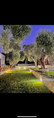 a group of trees with lights in a park at Eman Villas in Ulcinj