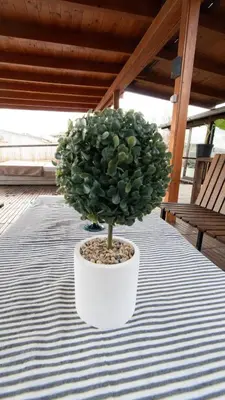 a plant in a white pot sitting on a table at Villa Ana in Ulcinj