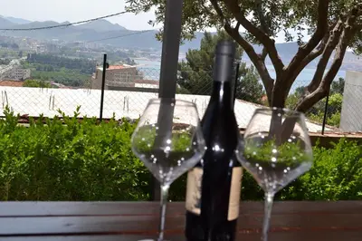 two glasses of wine sitting on a table at Apartments Milosevic in Bar
